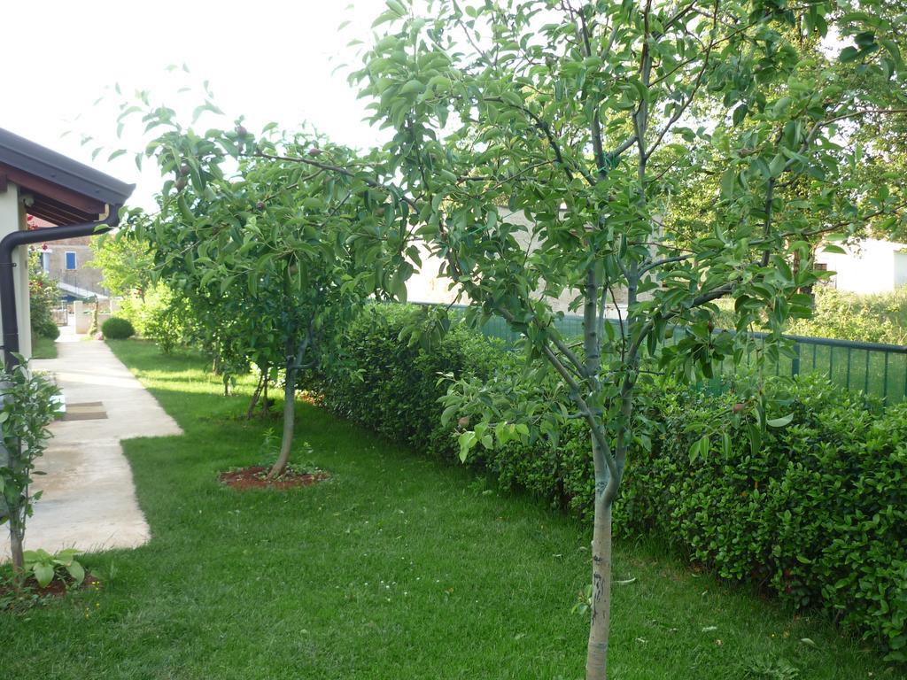Apartmani Radin Rosini ภายนอก รูปภาพ