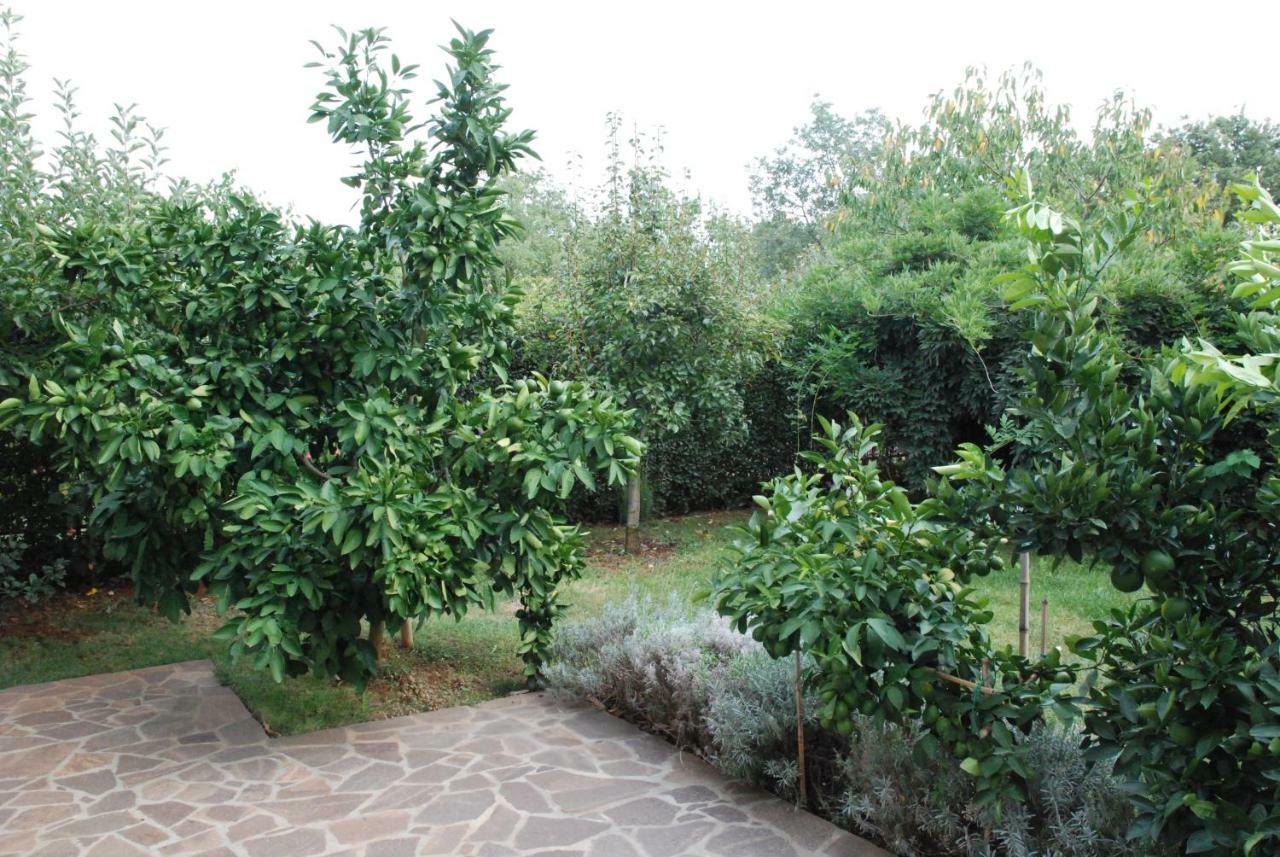 Apartmani Radin Rosini ภายนอก รูปภาพ