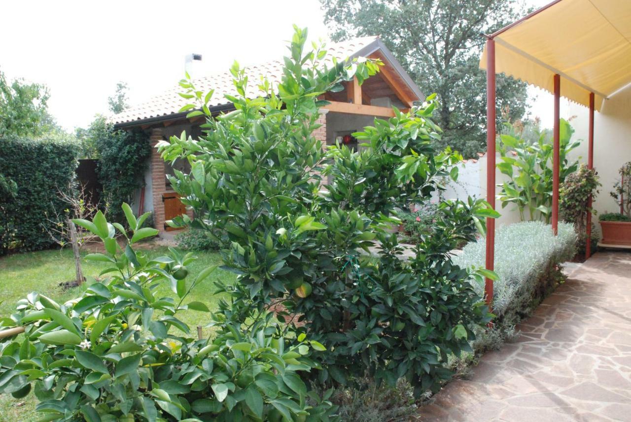 Apartmani Radin Rosini ภายนอก รูปภาพ